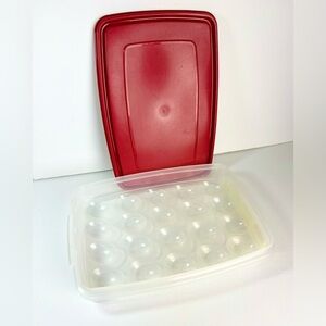 Vintage‎ Rubbermaid Servin Saver Deviled Egg Container red lid